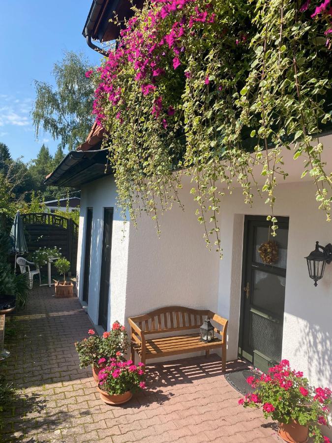 Ferienwohnungen Elsterblick Bad Elster Eksteriør billede